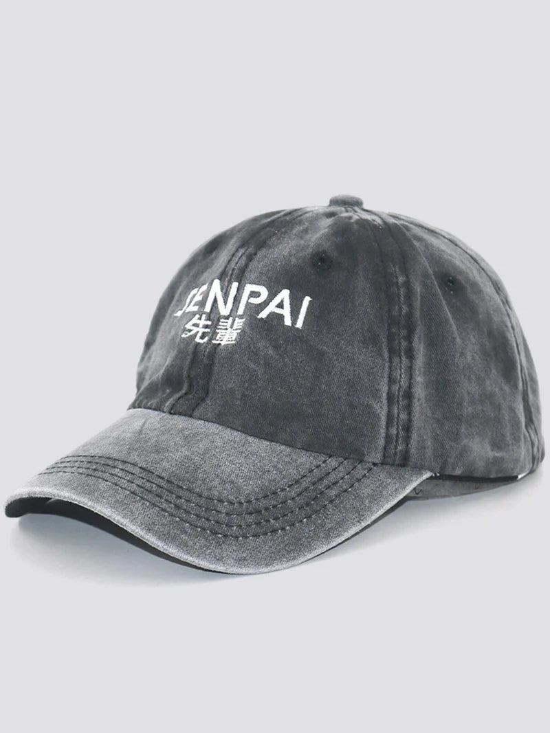Tokyo Vintage Cap - Grey